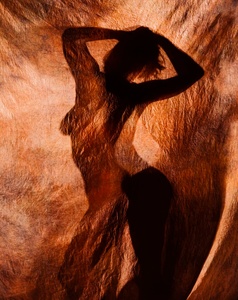Shadow Dancing