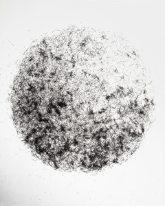 Sphere Study