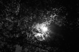 and the sky