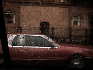 BROOKLYN BUZZ