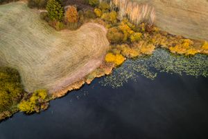 Lakeshore Operations | Fall Series #04