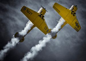 Two Harvards Soar