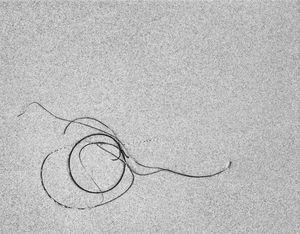 Sea Etching 55