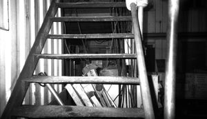The Nocturnal Forms of Tseung Kwan O Industrial Estate 10