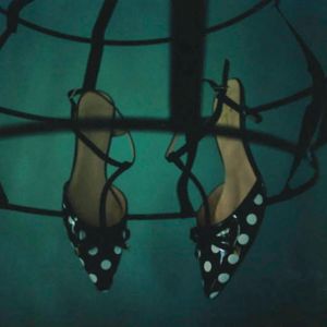 Shoes and Hoop Skirt