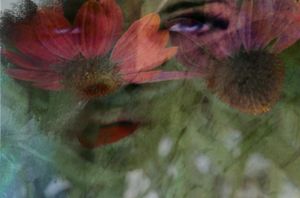 Petals 1