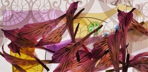 Dancing Inca Lilies #4