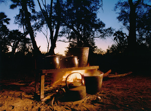 African Nights