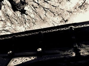 Roof and Tree 1