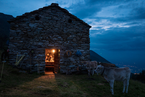 Alpine Dinner