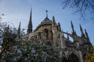 Notre Dame de Paris