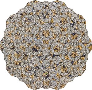 Barnacles                                                           © Karen Strom