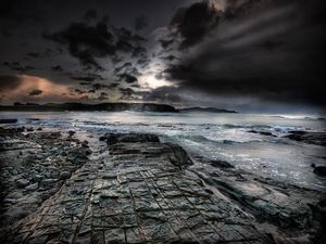 Petrified forest, the Catlins, South Island new Zealand.