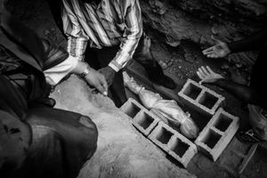 Boushehr _ shonbeh city _ 2013