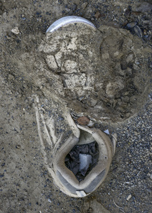 Forgotten Footsteps