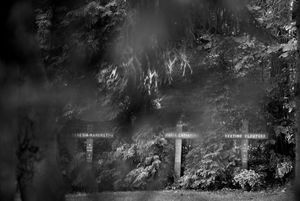 A NUNS STORY