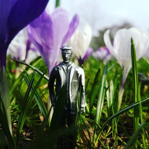 Spring splendour