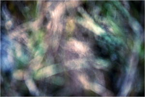 Twilight Grassland #8