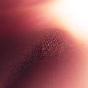 Body Archive: Dissection VII