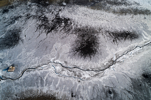 Lakeshore Operations | Ground Level Series #03