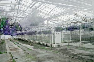 In between/ in41