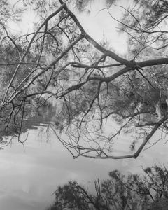 The Assumption of Choice #10