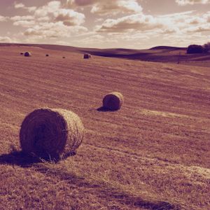 Baled