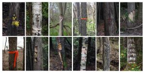 Demarcations