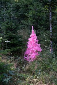 Christmas tree