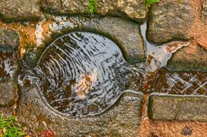 Healing Waters, Church of the Holy Trinity, Trhove Sviny, Czech Republic, 2009