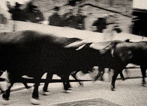 San Fermin bull-run 2015