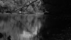 Reflection 2