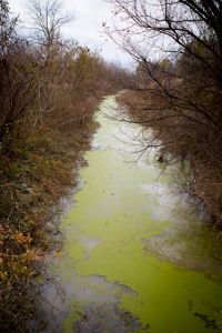 Mound Bayou, Mississippi