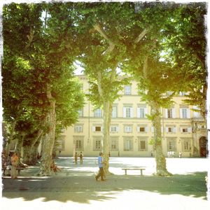 CAMPO. LUCCA