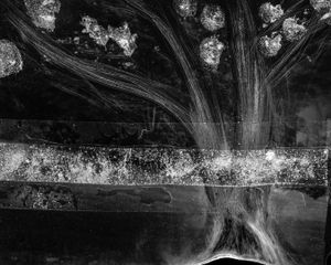© Michael Donnor