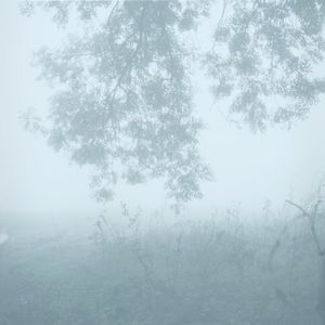 © Juliet Piper