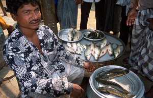 Man selling fish, Savar, Dhaka, Bangladesh