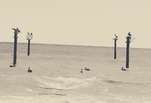 Kure Beach 32