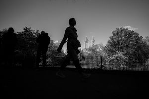 New York 8