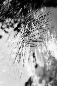 Disturbing nature n°4