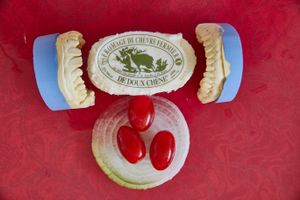 teeth and cheese
