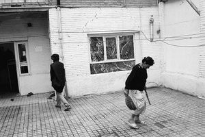 Grape garden alley in Black and White
