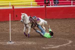 Muddy Ground, Arizona Gay Rodeo, Phoenix, Arizona 2016