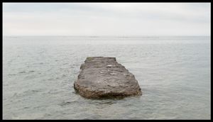 Toronto Island Portfolio
