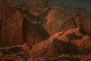 Secret Garden no 327