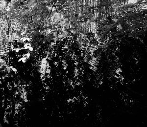 Reflections III