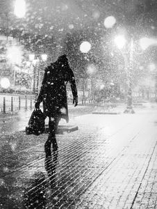 The Snow woman