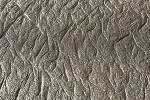 Close up of Sand at McClures Beach in Pt. Reyes National Seashore