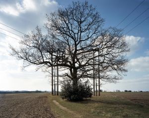 Connected #3 © Steve Meyler