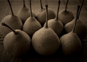 Greek pears